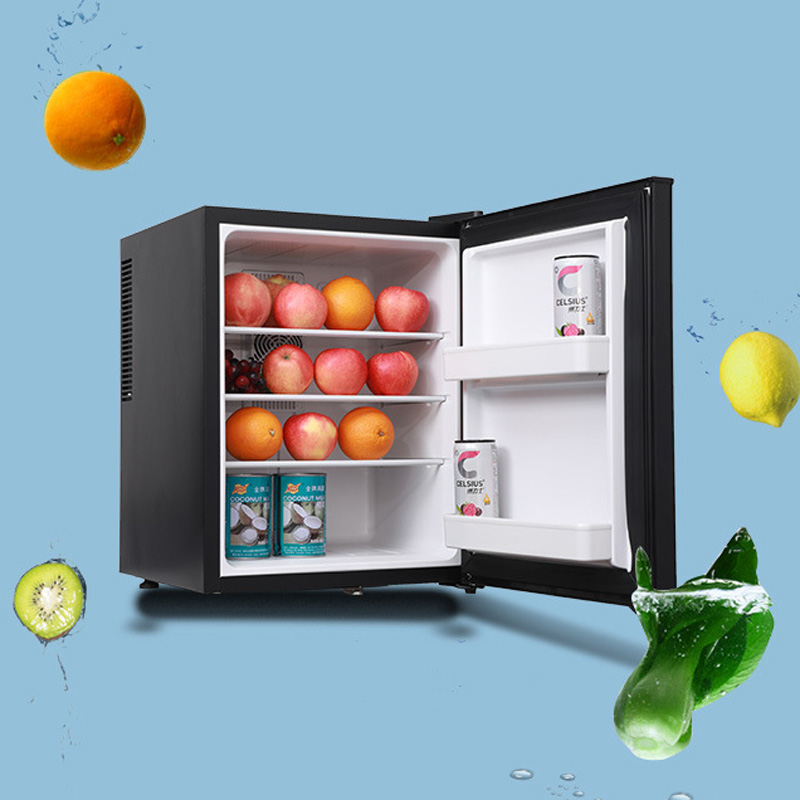 Mini Fridge Cooler 40L Refrige - Wine Beer Mini Fridge ulasan dan harga