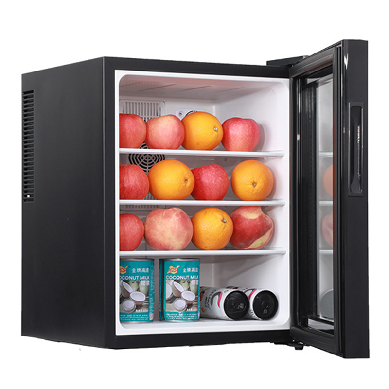 Mini Fridge Cooler 40L Refrige - Wine Beer Mini Fridge ulasan dan harga