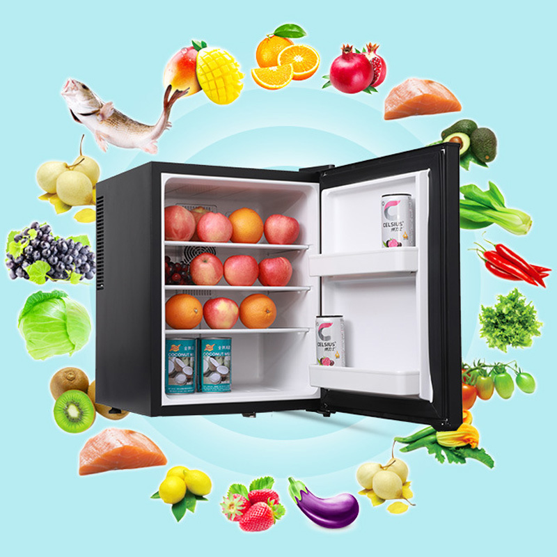 Mini Fridge Cooler 40L Refrige - Wine Beer Mini Fridge ulasan dan harga